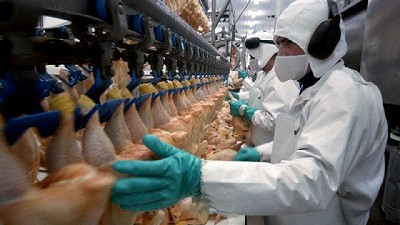 Paritaria avícola: la Federación de la Carne acordó un 12% más de recomposición salarial