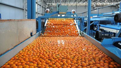 Otorgan a una empresa familiar el derecho de uso del Sello de Calidad 