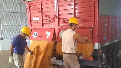 Cosecha en cuarentena: El gran desafío del sector agropecuario