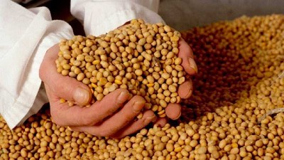 Ya se presentaron casi 100 trabajos científicos para participar del Primer Congreso Argentino de Semillas