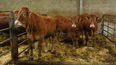 Piden evitar China-dependencia vacuna