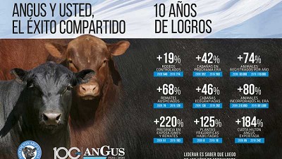 Angus llega al Centenario en un gran momento de su historia institucional