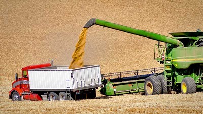 Morelli (Maizar): “El 65% de lo que se produce se exporta como grano”