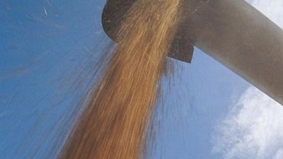 La producción de maíz y soja de Estados Unidos es mayor a la esperada por el mercado