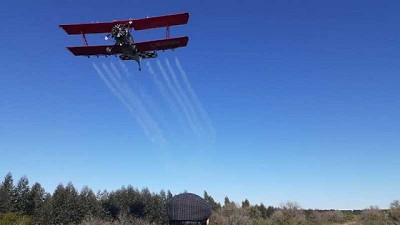 Fearca y el Senasa unidos contra la langosta