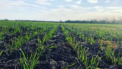 La Seca que no esperábamos y el urgente reperfilamiento campo - país; por Ricardo Bindi