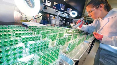 En plena era digital, Bayer trabaja para que los productores tomen la decisión “perfecta”