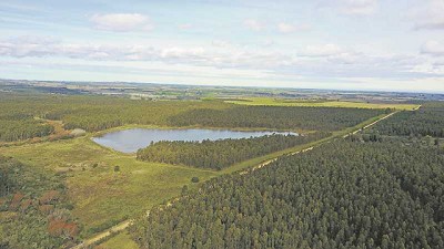 El retorno de la inversión productiva es una de las claves para que Uruguay vuelva a crecer