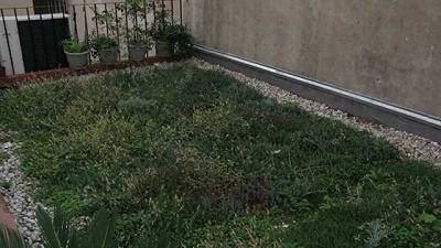 Aprender sobre techos verdes urbanos, desde casa