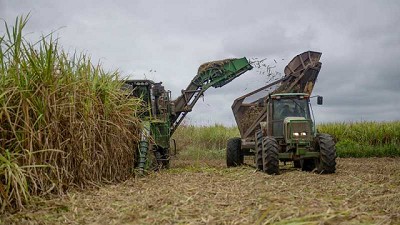 Agricultura distribuyó el cupo de exportación de azúcar crudo a Estados Unidos