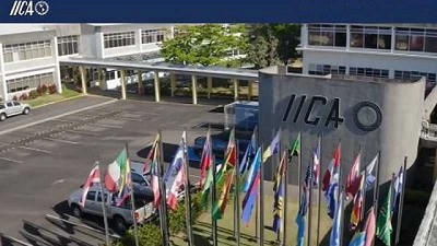 Diálogo Bayer, Microsoft e IICA: 