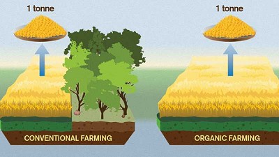 Estudio sueco: La agricultura orgánica/ecológica es peor para el medio ambiente