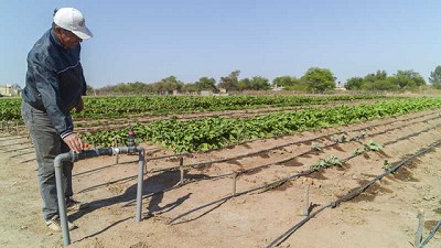Presentaron más de 600 proyectos en el Plan de Acceso al Agua