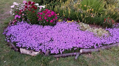 El aislamiento social por Covid-19 reactivó el sector de la Jardinería y la demanda de profesionales