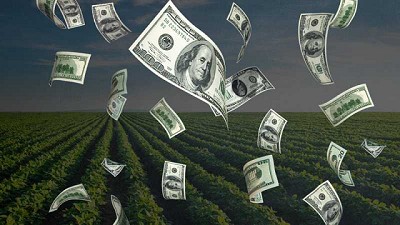 Principio de acuerdo entre el Gobierno y productores de soja: anunciarán pacto para que entren dólares de la exportación