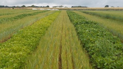 Rizobacter suma a su gestión sustentable la  certificación de la huella de carbono