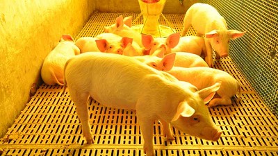 El MDA aprobó los primeros proyectos productivos del plan PISEAR, por más de $76 millones