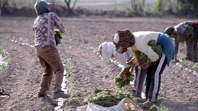 Agricultura conformó la Comisión Nacional Permanente de Regularización Dominial de la Tierra Rural