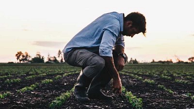 Los multiplicadores de STINE
