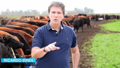 ¿Te sumas a una Revolución agroindustrial que nos saque de la pobreza?; por Ricardo Bindi