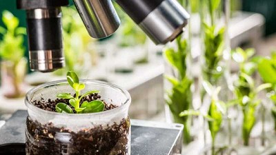 La ciencia en el centro de la bioeconomía