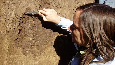 La microbiología del suelo revoluciona la producción agropecuaria