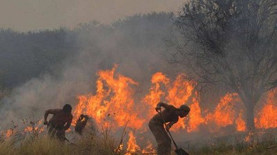 Agricultura declara el estado de desastre agropecuario en Córdoba por los incendios