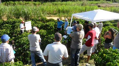 Más sinergias entre agricultura y turismo: la apuesta del Caribe para una recuperación sostenible