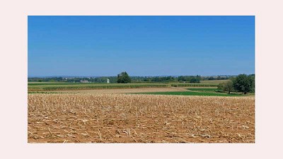 Barbecho para Soja y Maíz: La importancia de iniciar el ciclo con el pie derecho