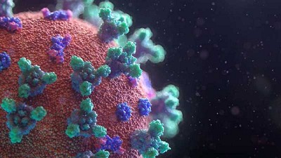 Del duelo por la vieja normalidad a una economía de baja proximidad