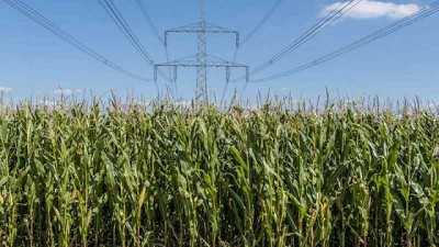 Energía por el suelo