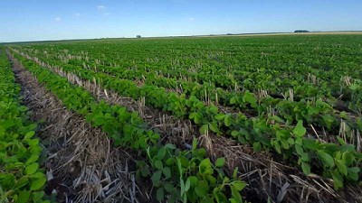 Rizobacter lanza nuevo fertilizante foliar en Argentina, Uruguay, Paraguay y Bolivia