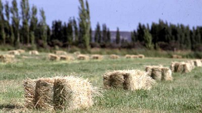Agricultura destinó 13 millones de pesos para asistir productores de Tierra del Fuego