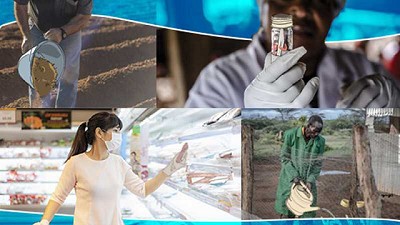 FAO: la resistencia a los antimicrobianos puede afectar la vida y el bienestar de millones de personas