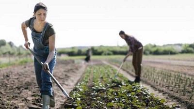 Mujeres rurales costarricenses desarrollan tecnologías para aumentar la sostenibilidad de las actividades productivas en sus comunidades