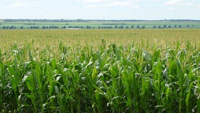 Agro adaptativo: ajustar la demanda agrícola a la oferta variable de agua