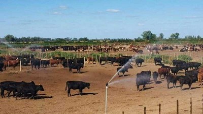 Plan verano contra el estrés por calor