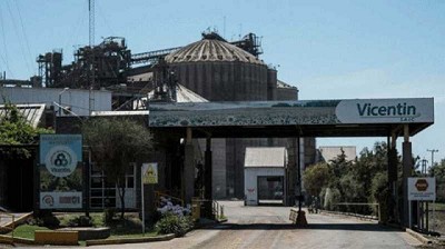 ¿Qué dice el informe entregado en mano por el Directorio de Vicentin a Rubeo?