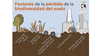 Fertilizar celebra el Día Mundial del Suelo