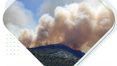 Los seguros y su tratamiento impositivo