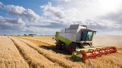 Cebada: la clave para el crecimiento de la Argentina