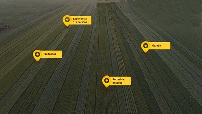 Nidera Semillas propone una recorrida 360 por su Campo Líder de trigo