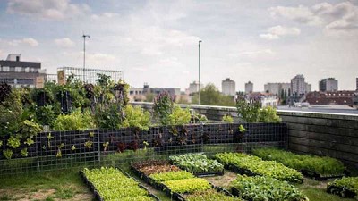 Peas&Love, la startup que permite a cualquier persona convertirse en agricultor urbano