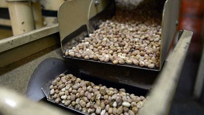 Las exportaciones de Alimentos y Bebidas Regionales crecieron más del 9% en los primeros diez meses del año