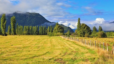 Agricultura declaró la emergencia agropecuaria en la provincia de Mendoza
