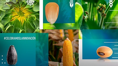 NK celebra un año del relanzamiento de su marca