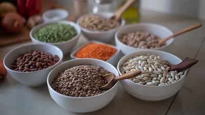 Evalúan el potencial de insectos como fuente de proteínas alternativas para productos alimenticios