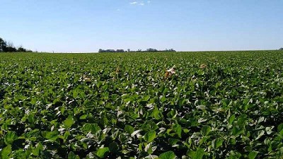 Pese a una mejora en la oferta hídrica, amplios sectores aún informan reservas limitadas