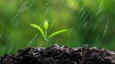 Otra semana de ambiente difícil, pero con lluvias - CCA/Agrositio