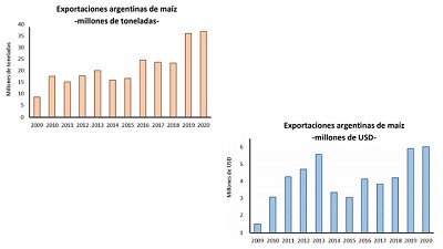 Las exportaciones de maíz alcanzan las 37 millones de toneladas en el 2020